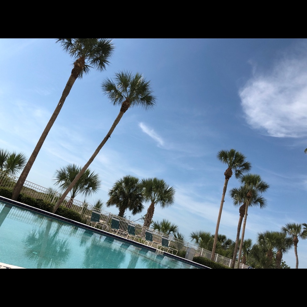 Meet your Posher, Vilma